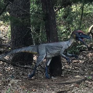 Meet your Posher, Robert